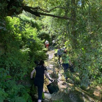 Paraísos baixo o lixo Voluntariado ambiental