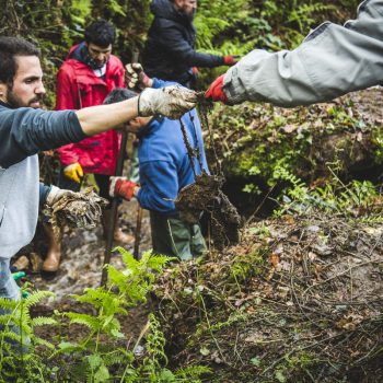 Voluntariado ambiental portada paraisos baixo o lixo